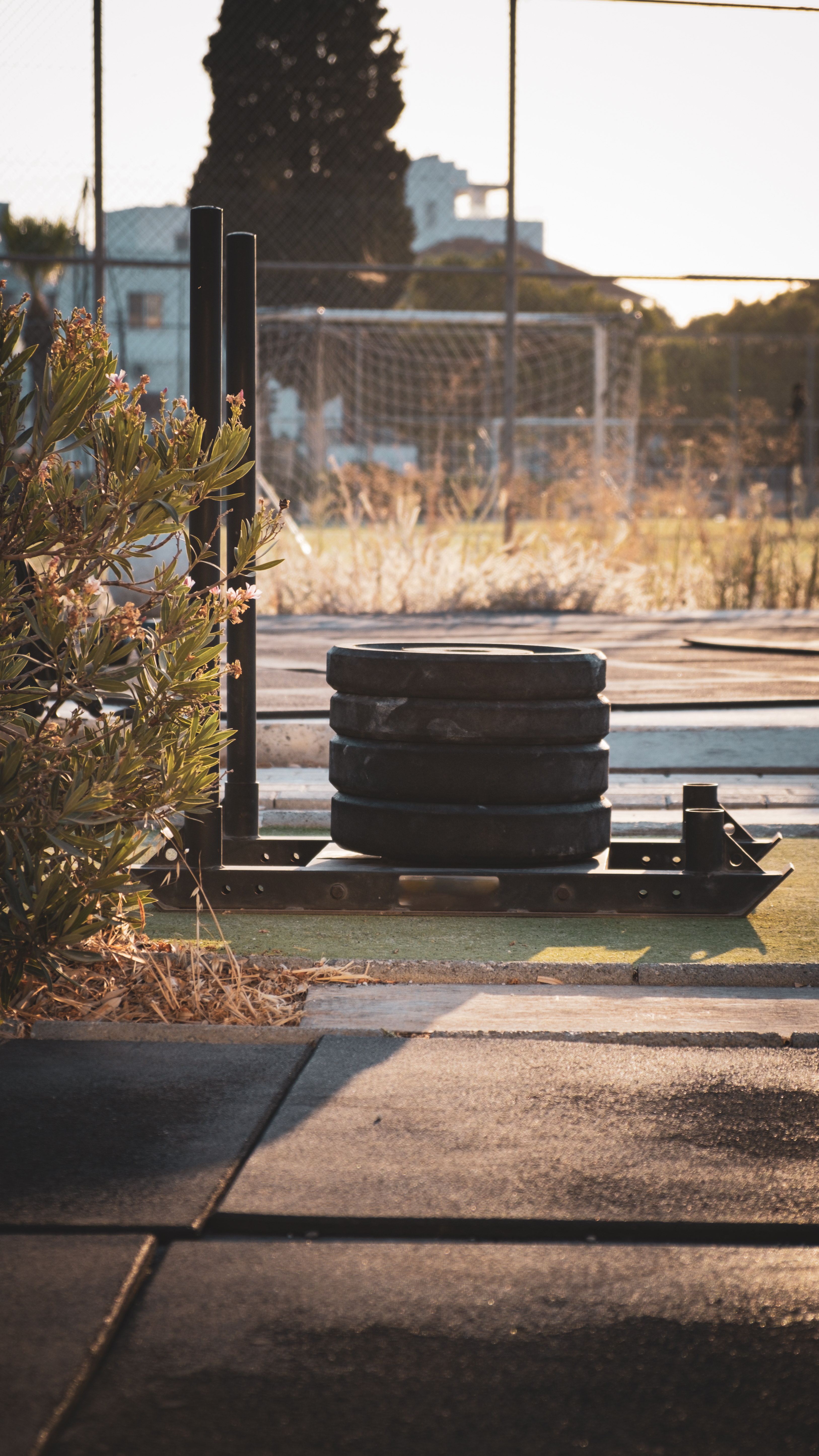 Trening Mind & Muscle